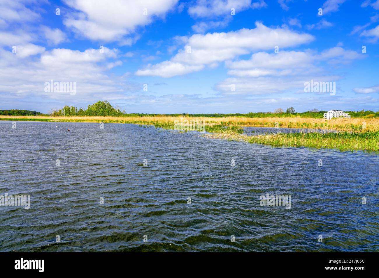 Blick auf den See Zalew Kamienski. Landschaft an der Lagune der Dziwna, die in die Ostsee mündet. Die Natur in der Woiwodschaft Polnisch Westpommern Stockfoto
