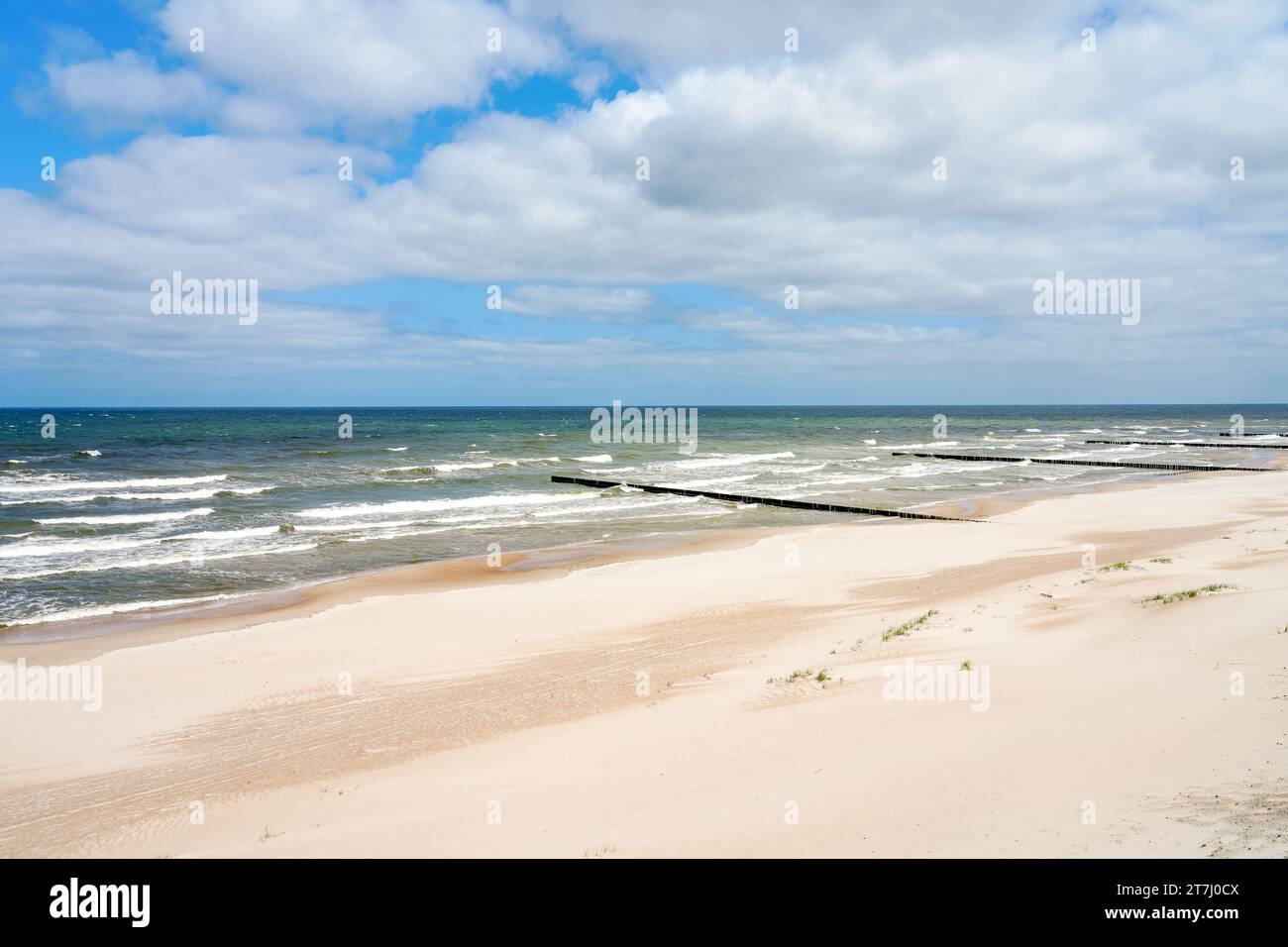 Strand in der Nähe von Trzesacz in Polen. Natürliche Küste an der polnischen Ostsee mit weißem Sand. Landschaft am Meer in Westpommern. Stockfoto
