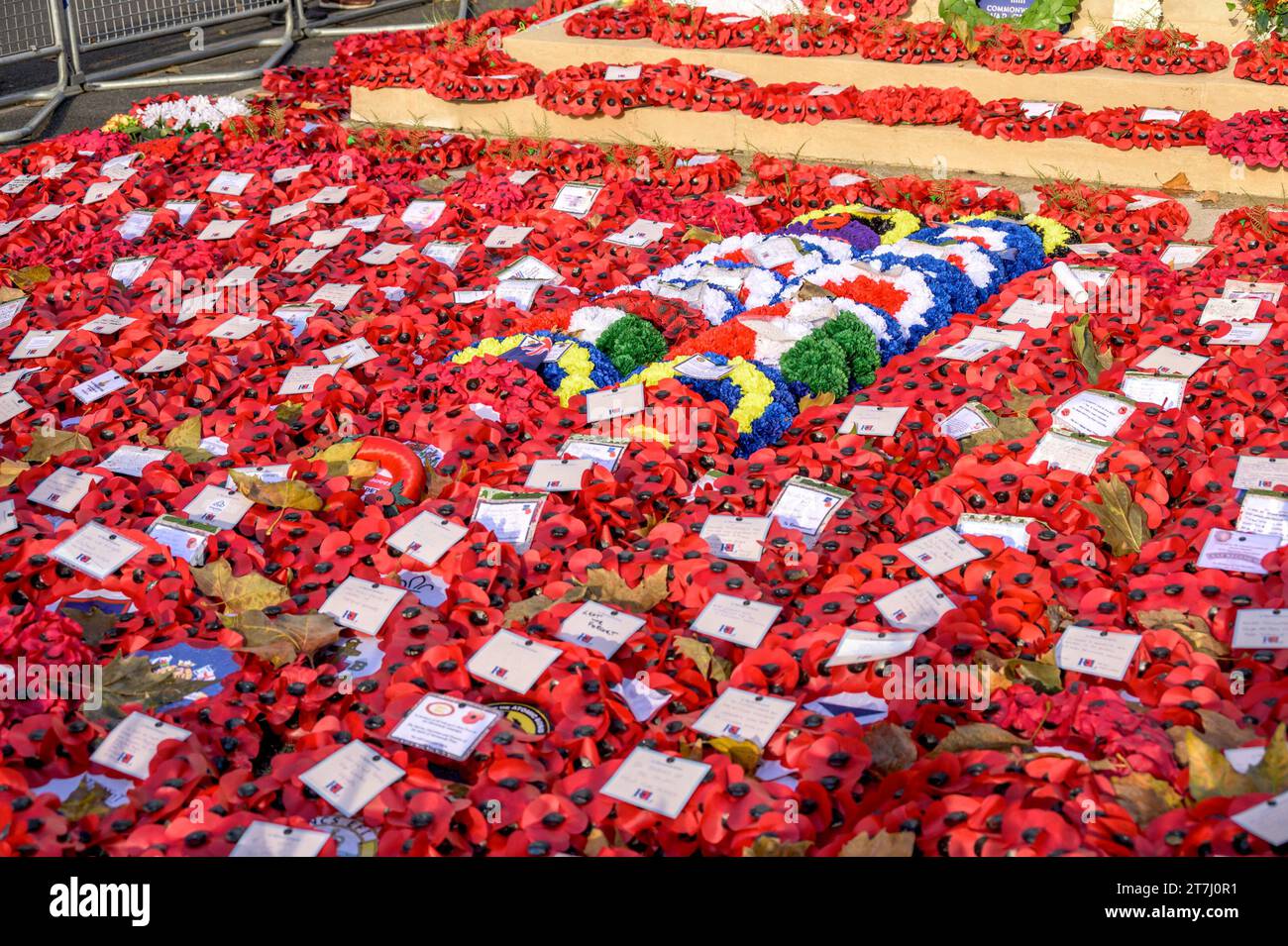 London, Großbritannien. Mohnkränze wurden im Cenotaph in Whitehall nach der Rememberance Sunday Zeremonie im November 2023 hinterlassen Stockfoto