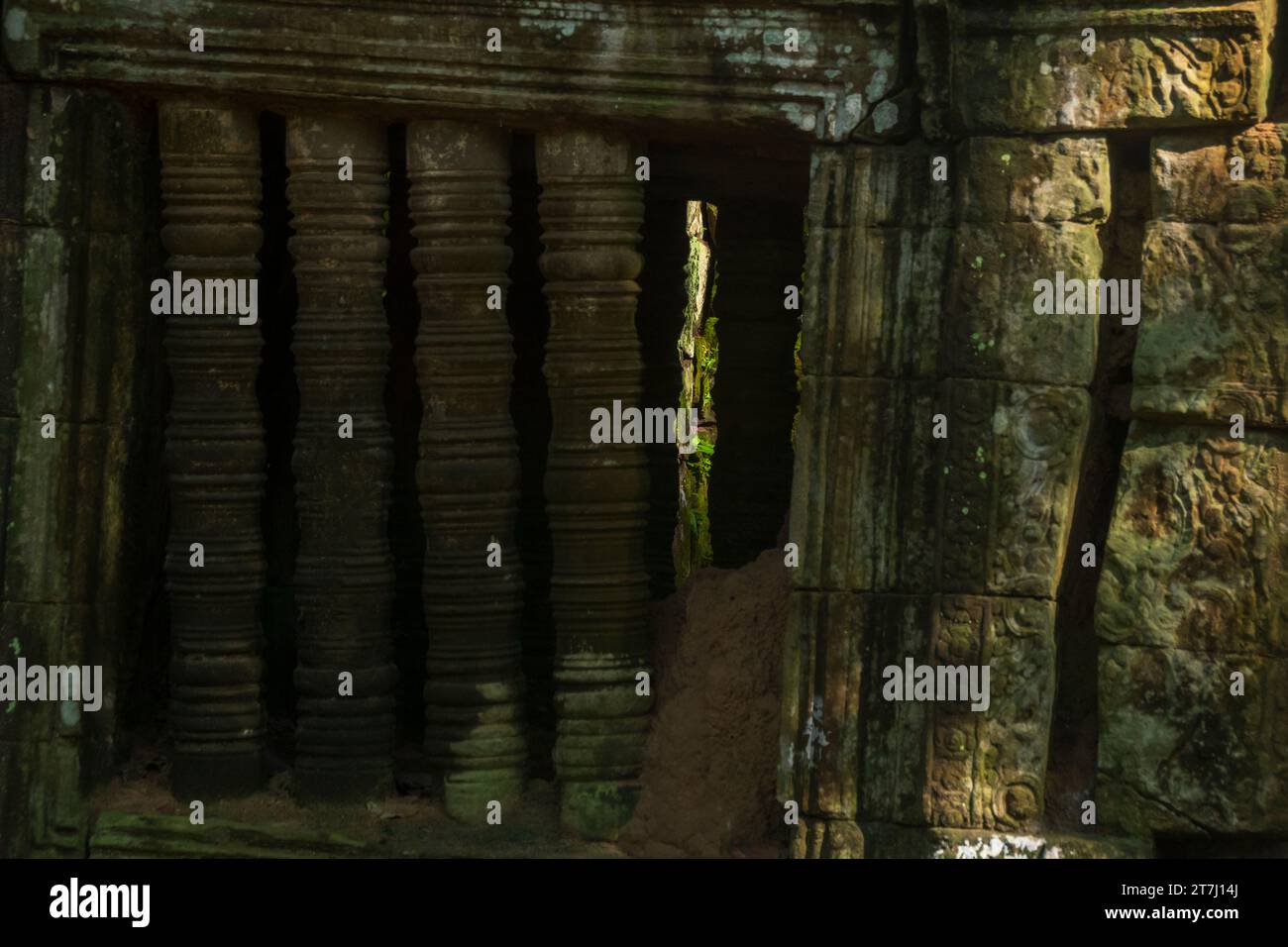 TA Prohm Tempel Siem Reap, Kambodscha Stockfoto