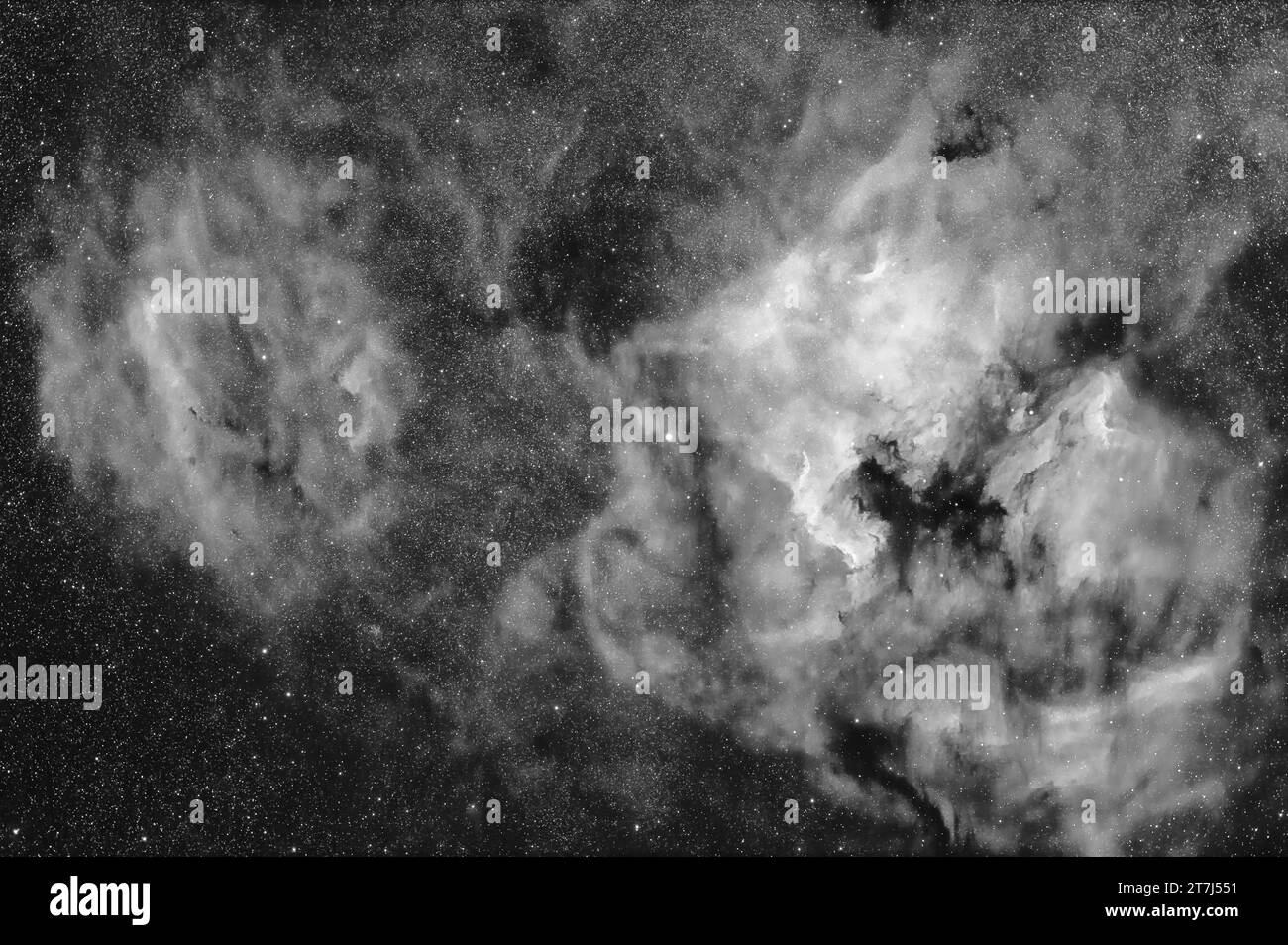 Es handelt sich um eine Reihe von Emissionsnebeln im Cygnus: Den Bright North America Nebula (NGC 7000) auf der rechten Seite und rechts davon den Pelikan Stockfoto