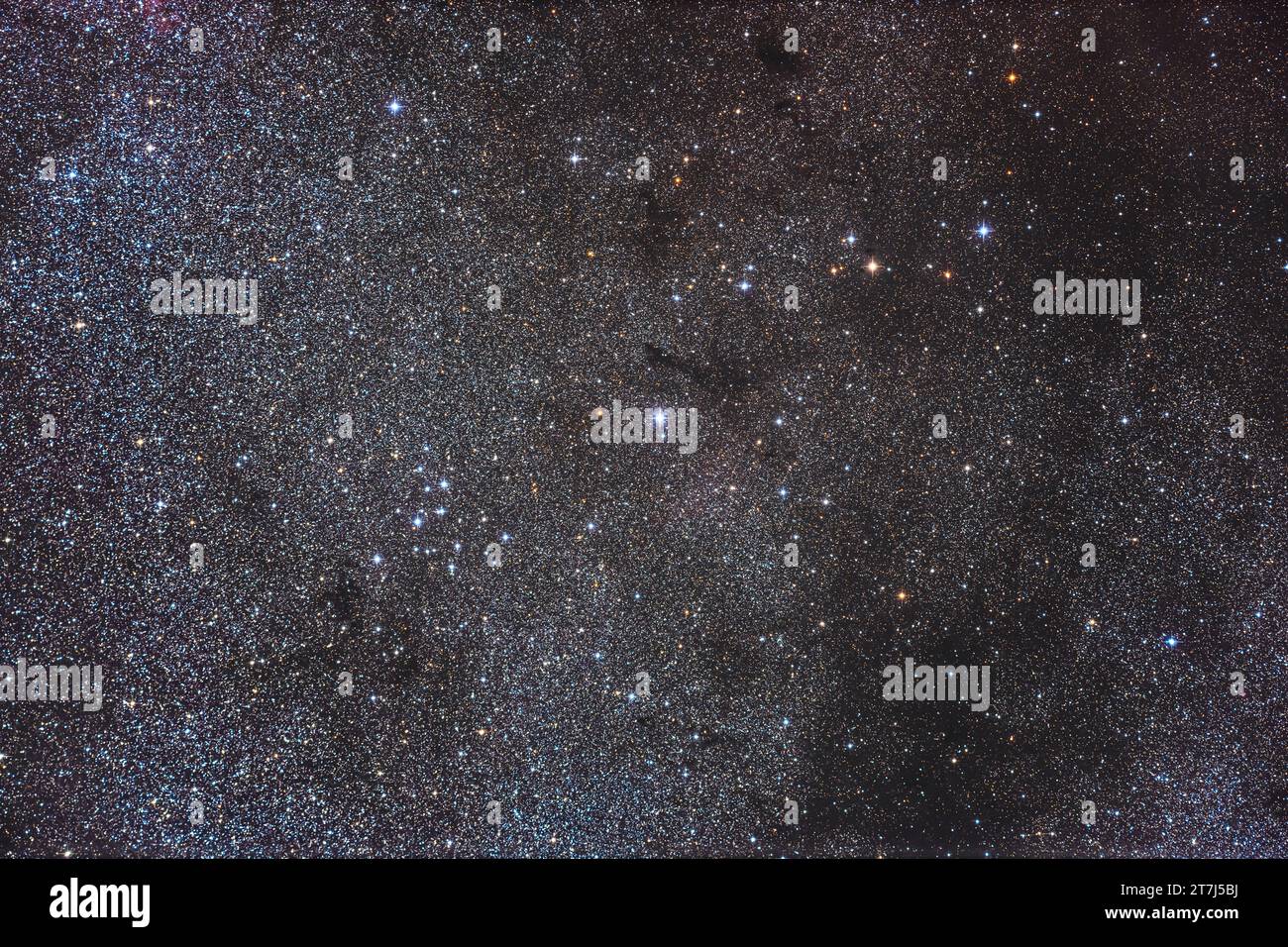 Dies ist das Feld mit dem hellen, großen, aber dünnen Sternhaufen Messier 39 in Cygnus, unten links, inmitten eines reichen Sternfelds mit dunklem Dus Stockfoto
