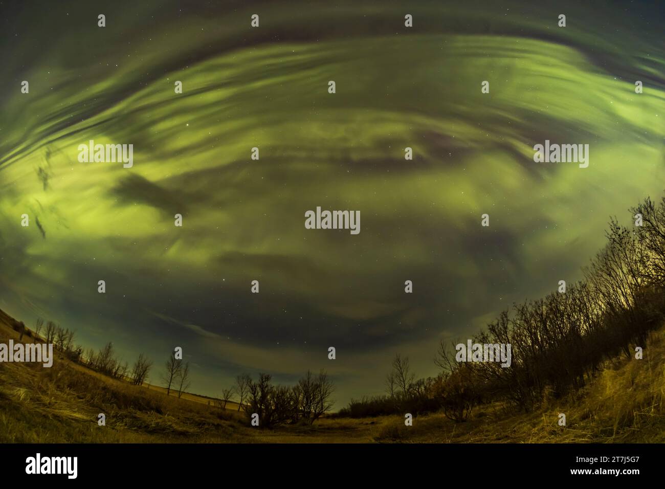 Ein Blick auf die große aurora-Show vom 23. April 2023 im Süden, mit mehreren Vorhängen über den Himmel, die parallele Bänder von eas bilden Stockfoto