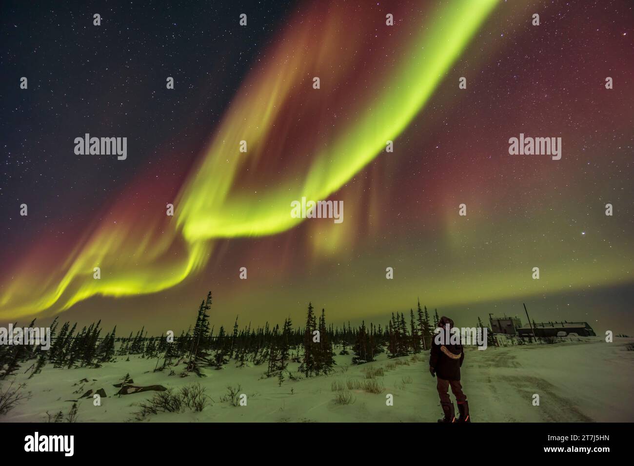 Ein Selfie der aurora unter dem Polarlichter am 22. Februar 2023 auf der Rocket Range Road vor dem Churchill Northern Studies Centre in C Stockfoto