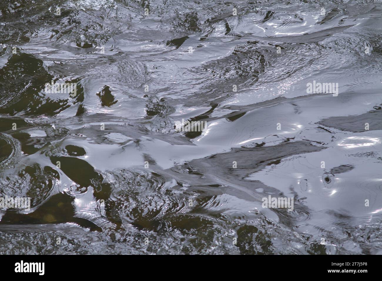 Ein Fluss aus schnell fließendem Wasser auf einem Gebirgsfluss, eine Nahaufnahme Stockfoto