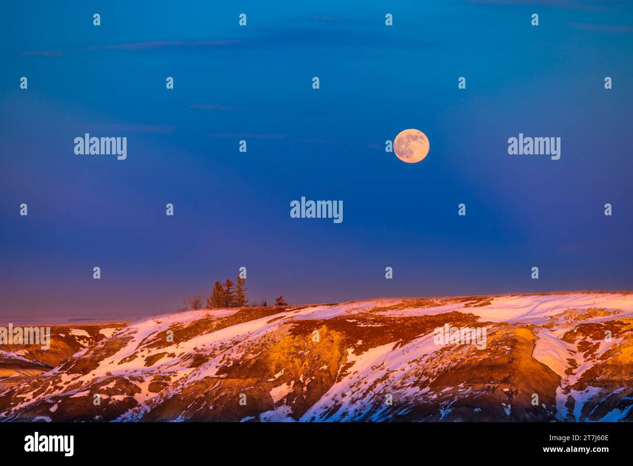 Der aufsteigende Vollmond vom 6. Januar 2023 über den Badlands des Horseshoe Canyon in der Nähe von Drumheller, Alberta. Hier ist der Mond ein dunkelblaues Krepuskular Stockfoto