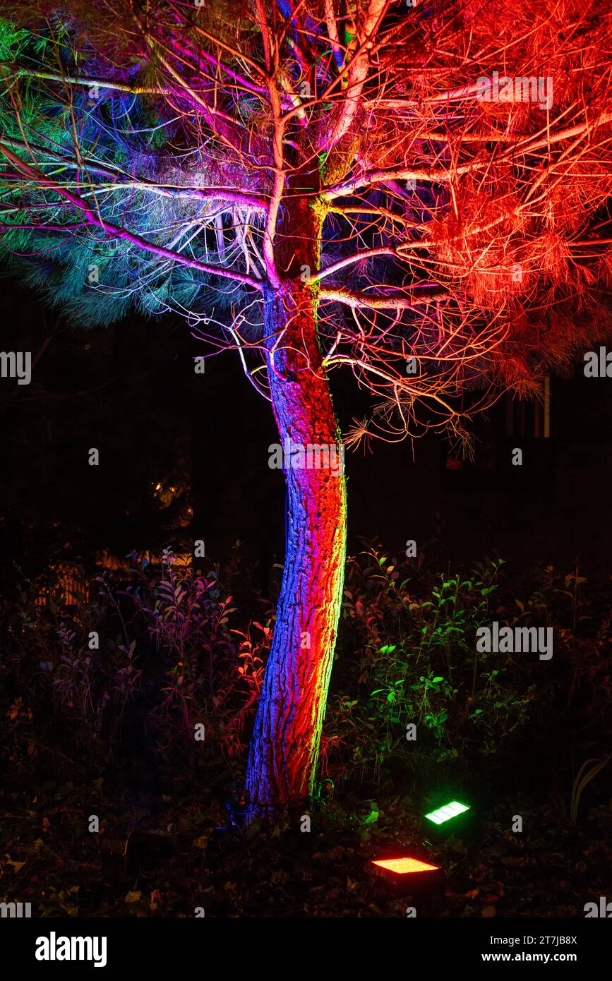 Unter der Umarmung der Nacht, eine strahlende Kiefer mit einem Spektrum von bunten Lichtern, die einen faszinierenden Glanz der Weihnachtsmagie ausstrahlen. Stockfoto