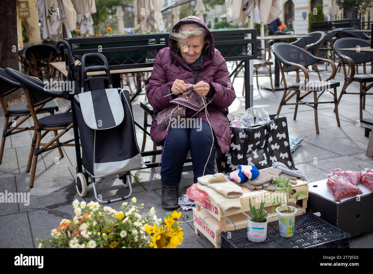 Belgrad, Serbien, 10. November 2023: Eine ältere Dame verkauft Blumen, Handschuhe und Socken am improvisierten Straßenstand während des Strickens Stockfoto