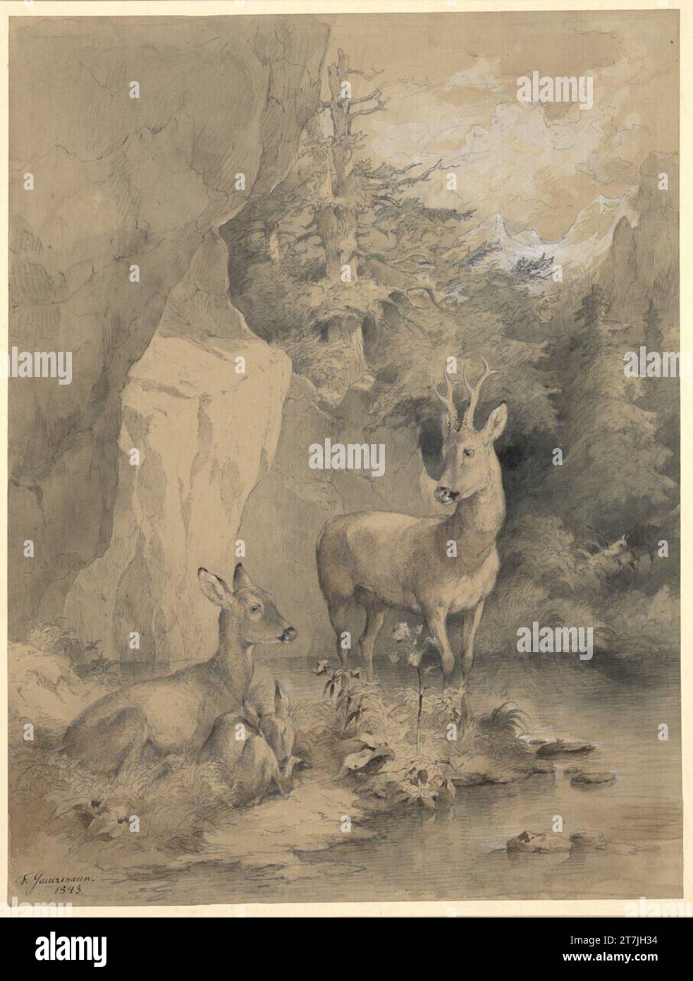 Familie Friedrich Gauermann Reh. Bleistift, braun und schwarz, weiß 1843, 1843 Stockfoto