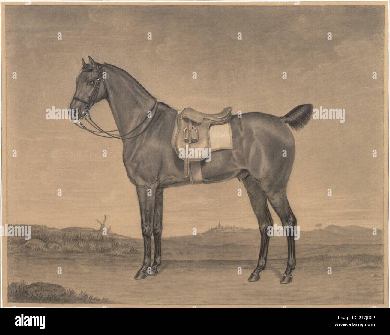 J.W.Sperling Sisted, grau-brauner Hengst (Rennpferd?) Nach links. Schwarzkreide (Kohle? (CAH.)), Lavated Grey, grau mit weißem Pinsel, auf braunem Papier; Schwarze Randlinie um die Präsentation 1831 , 1831 Stockfoto