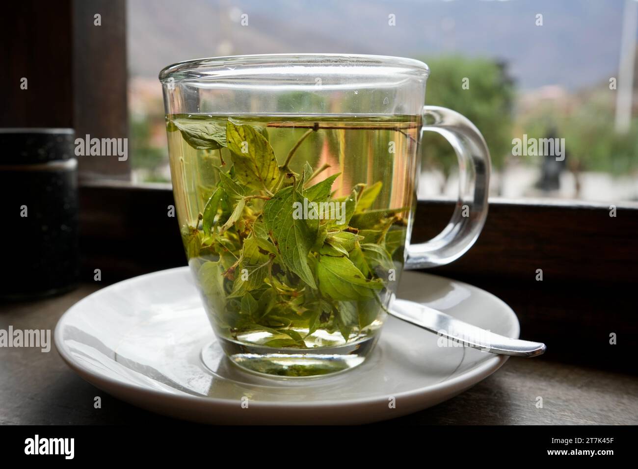 Tasse grüner Coca-Tee in einer klaren Glasschale auf einer Untertasse mit einem Löffel. Stockfoto