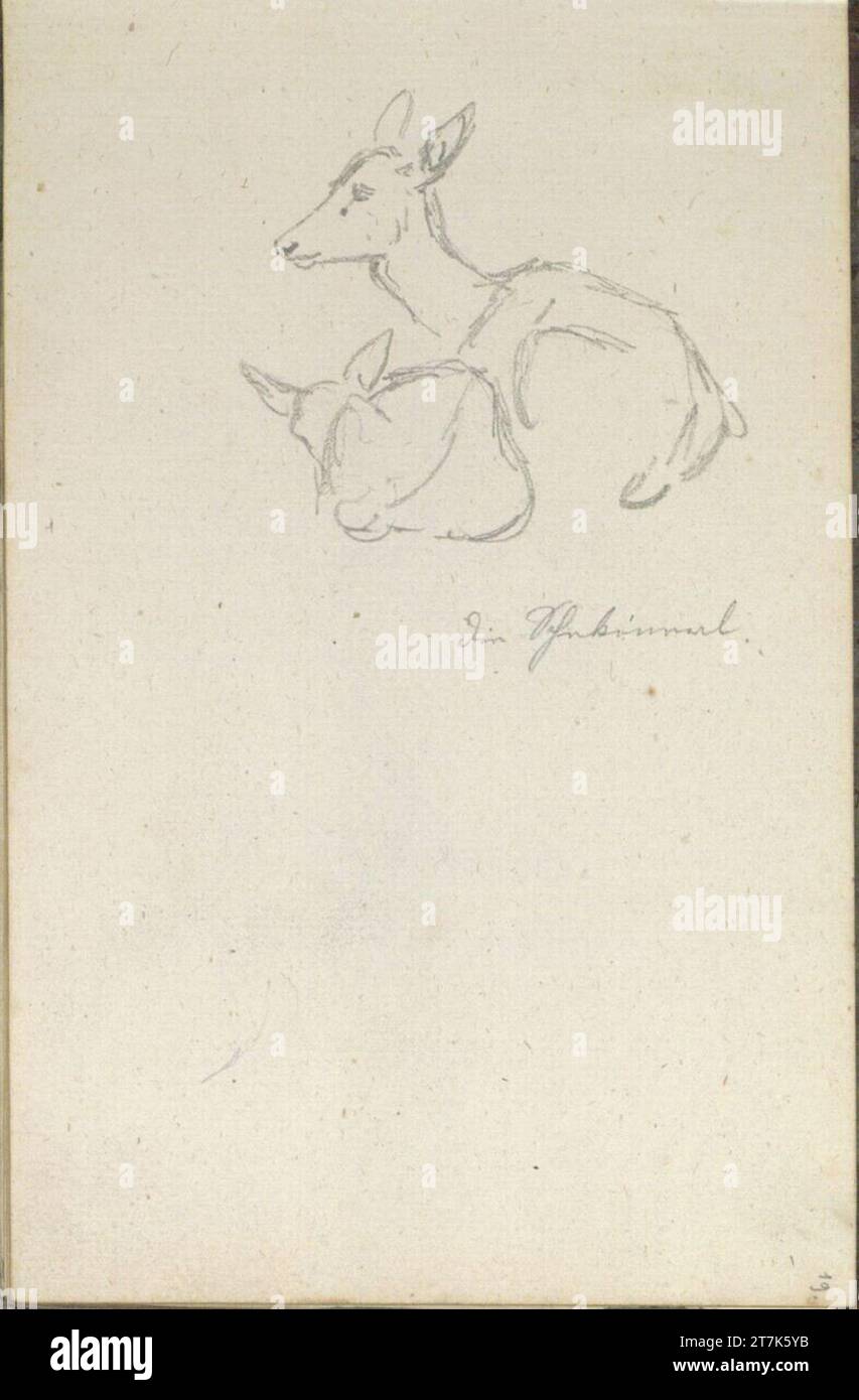 Friedrich Gauermann Rehskizzen. Bleistift (Skizzenbuch: 1826 - 1848) Stockfoto