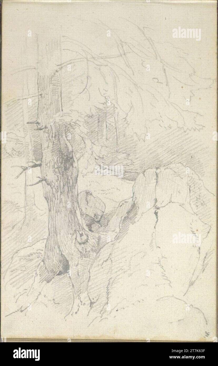 Friedrich Gauermann-Waldstudie mit einem Nadelbaum und Felsen. Bleistift (Skizzenbuch: 1826 - 1848) Stockfoto