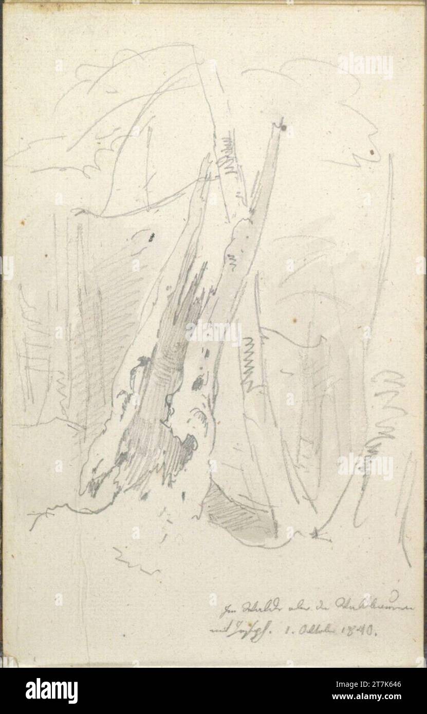 Friedrich-Gauermann-Baumstudie. Bleistift, Aquarell, laved 1.10.1840 (Sketchbook: 1826 - 1848) Stockfoto