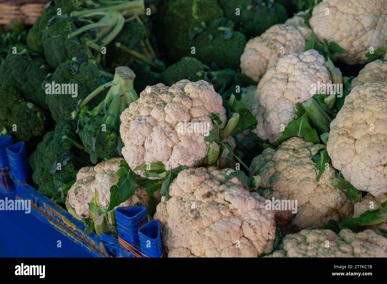 Blumenkohl-Verkauf auf dem traditionellen türkischen Bauernmarkt, eine Theke gefüllt mit frischem Obst Stockfoto