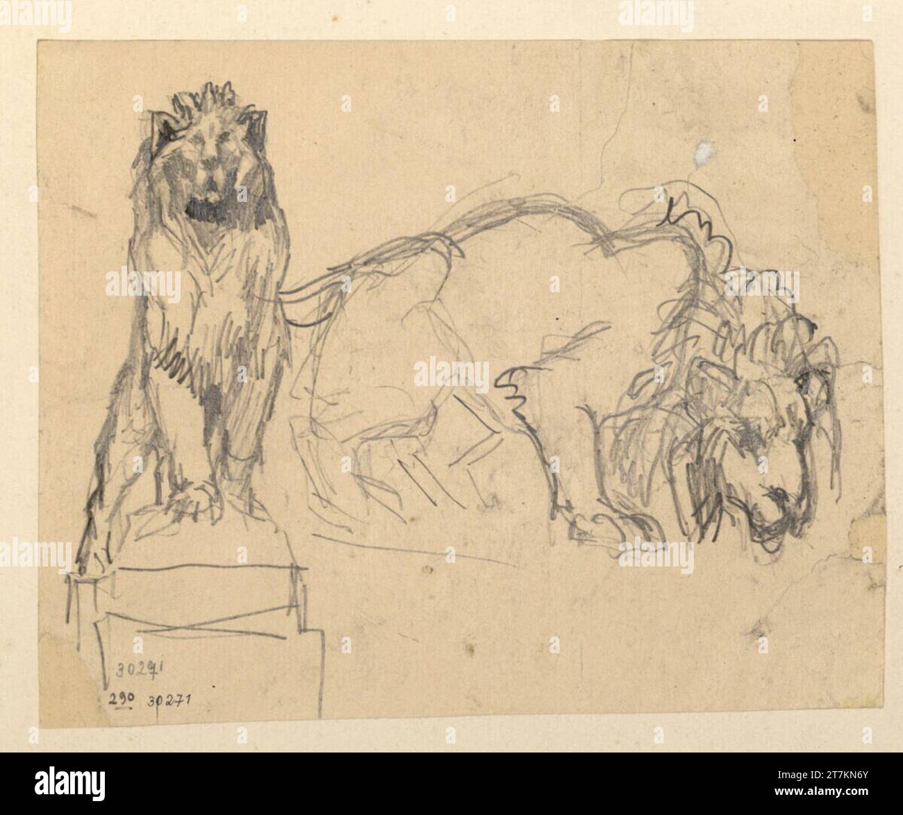 Rudolf Weyr zwei Löwen. Stockfoto