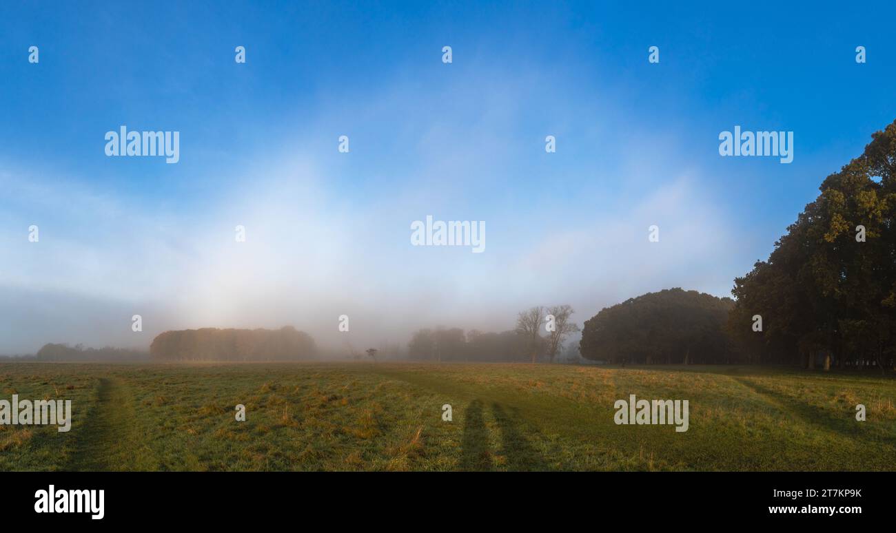 Schwacher Nebel im Phoenix Park Stockfoto