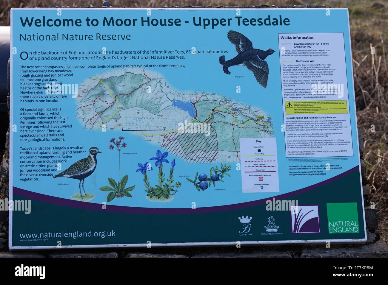 Upper Teesdale ist ein Naturschutzgebiet von 2023 Stockfoto