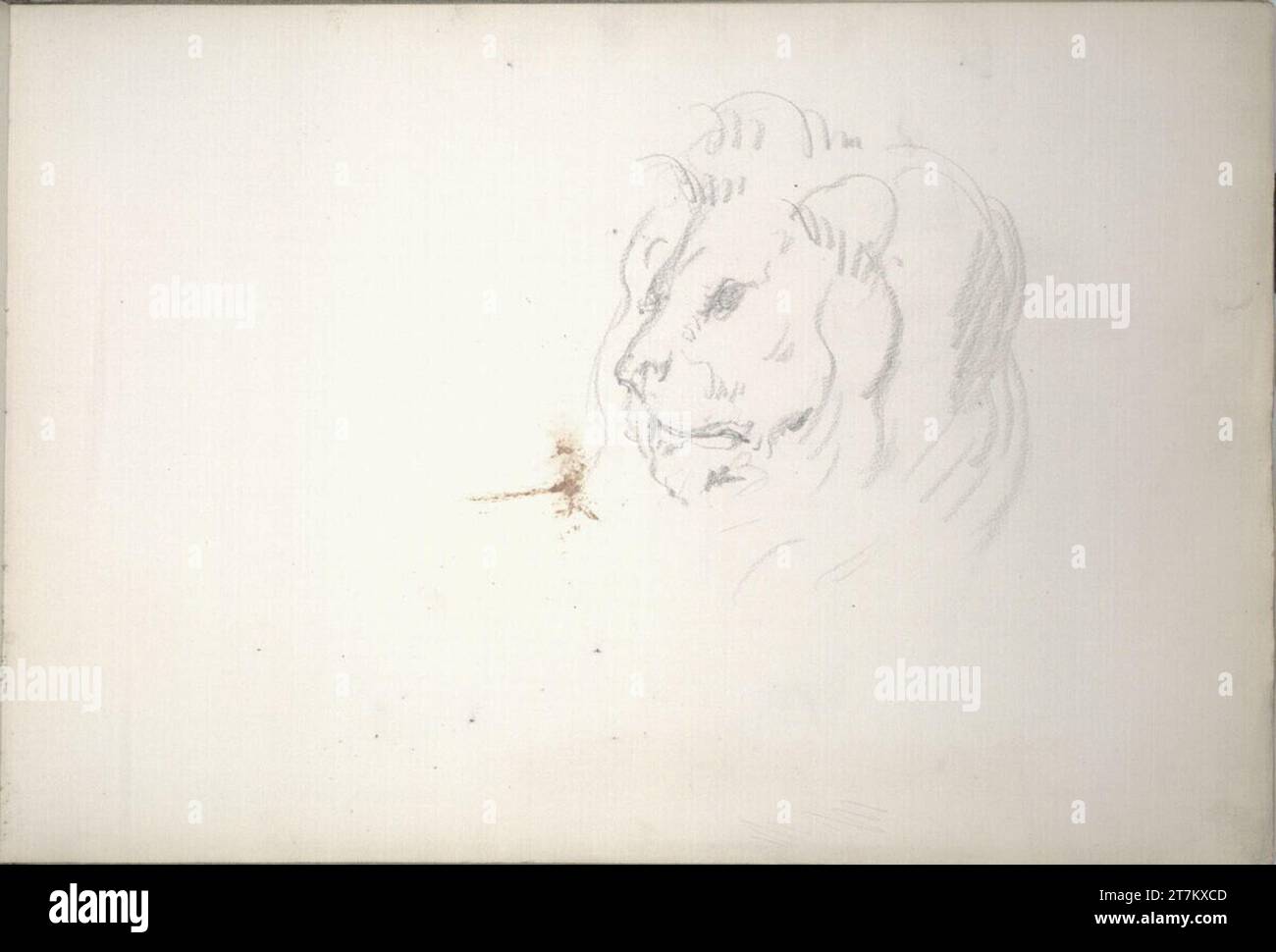 Hans-Kanonenskizze eines Löwenkopfes (Kopf im Skizzenbuch stehend; zur Allegorie der Zoologie?) Bleistift um 1880 Stockfoto