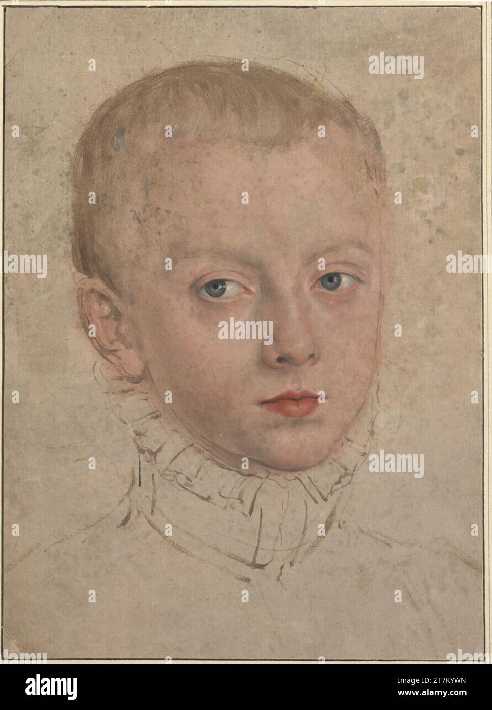 Lucas Cranach d. J. Prinz Alexander von Sachsen (1554-1565). Pinsel in Öltempera, basierend auf rosa-grauem Papier, Reste eines Musters in Kohle, die Ecken schneiden und ergänzen oben und unten um 1564 Stockfoto
