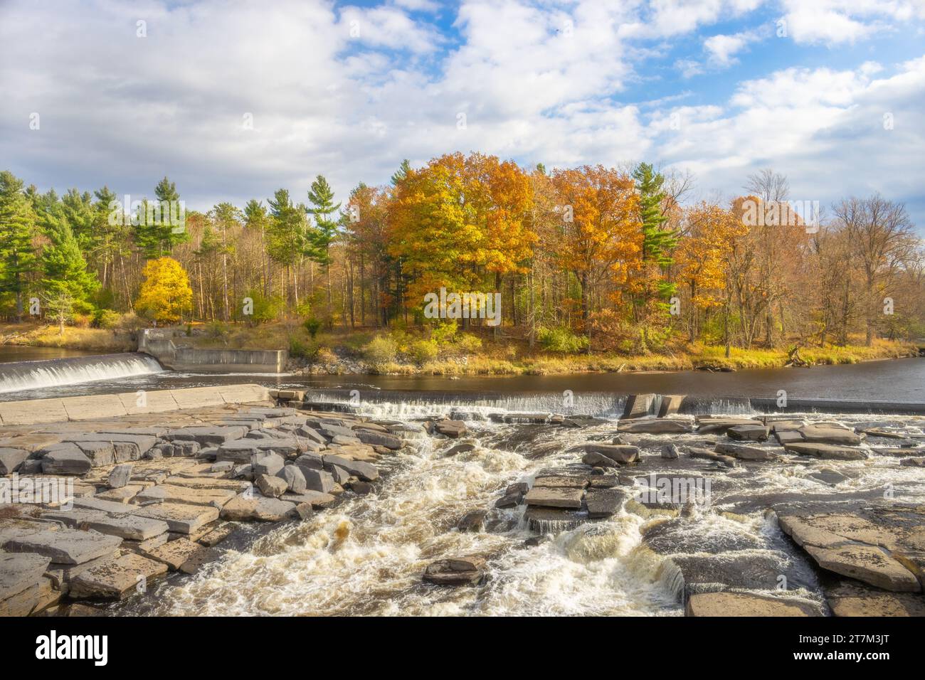 Fall im Wald am Wasser Stockfoto