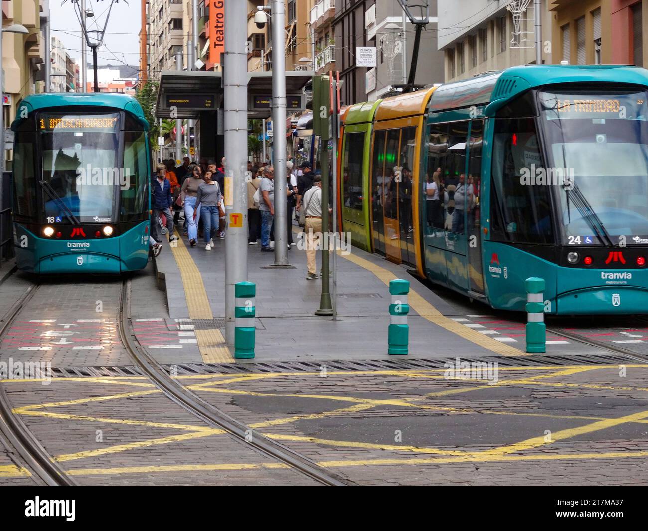 Farbenfrohe Straßenbahnen auf den Schienen von Santa Cruz de Teneriffa, Teneriffa, Kanarischen Inseln, Spanien, Tourismus, Wintersonne, Sightseeing Stockfoto