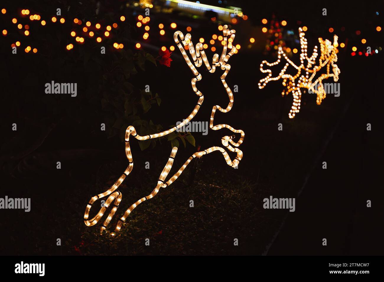 Lustig leuchtende Weihnachts-Rentiere, Weihnachtslichter als Nachtdekoration, festliche Stimmung Stockfoto