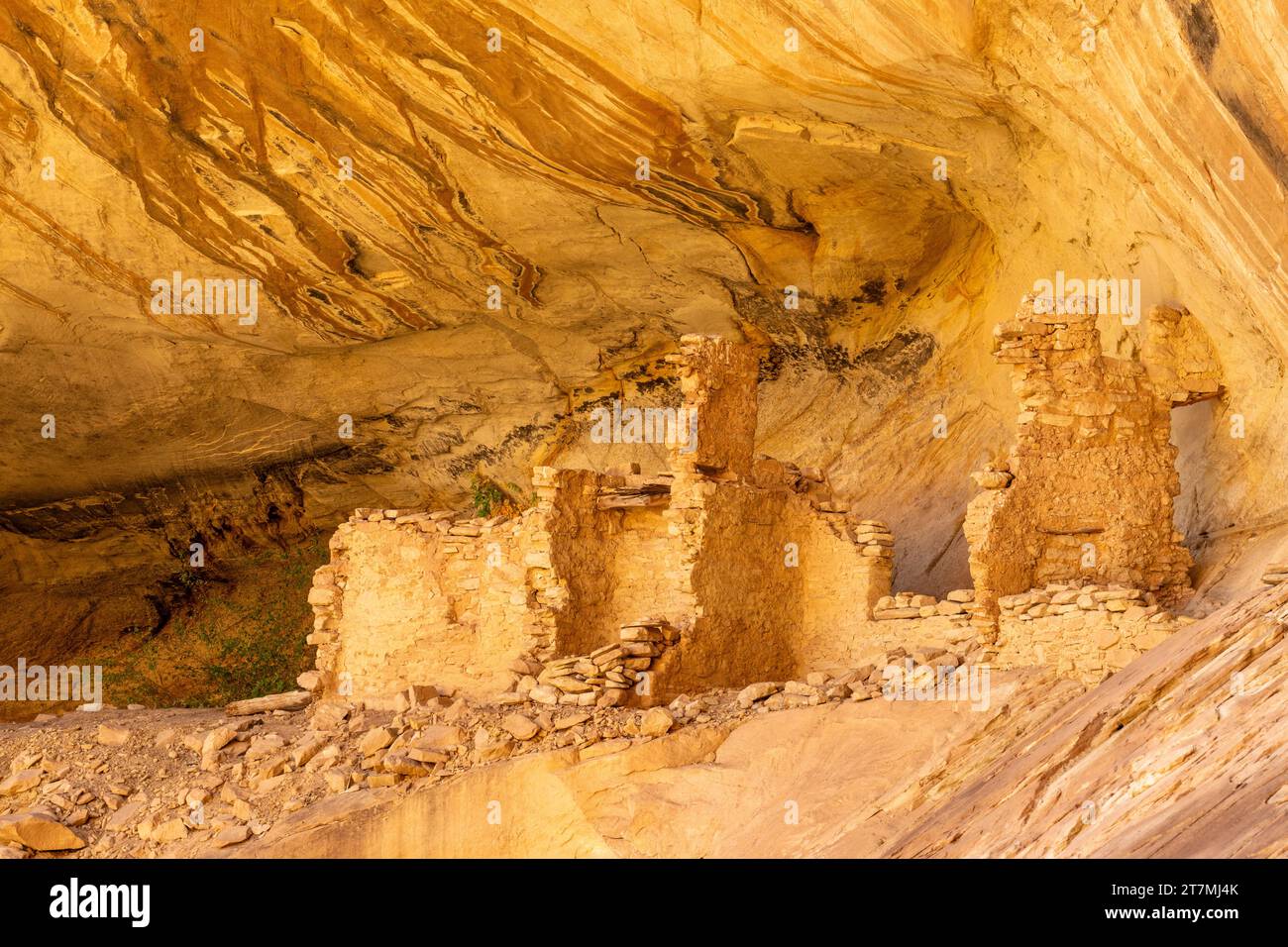 Monarch Cave Ruins, eine angestammte Puebloan Klippe, die in einem Seitenschlucht von Butler Wash wohnt, Bears Ears National Monument, Utah. Stockfoto