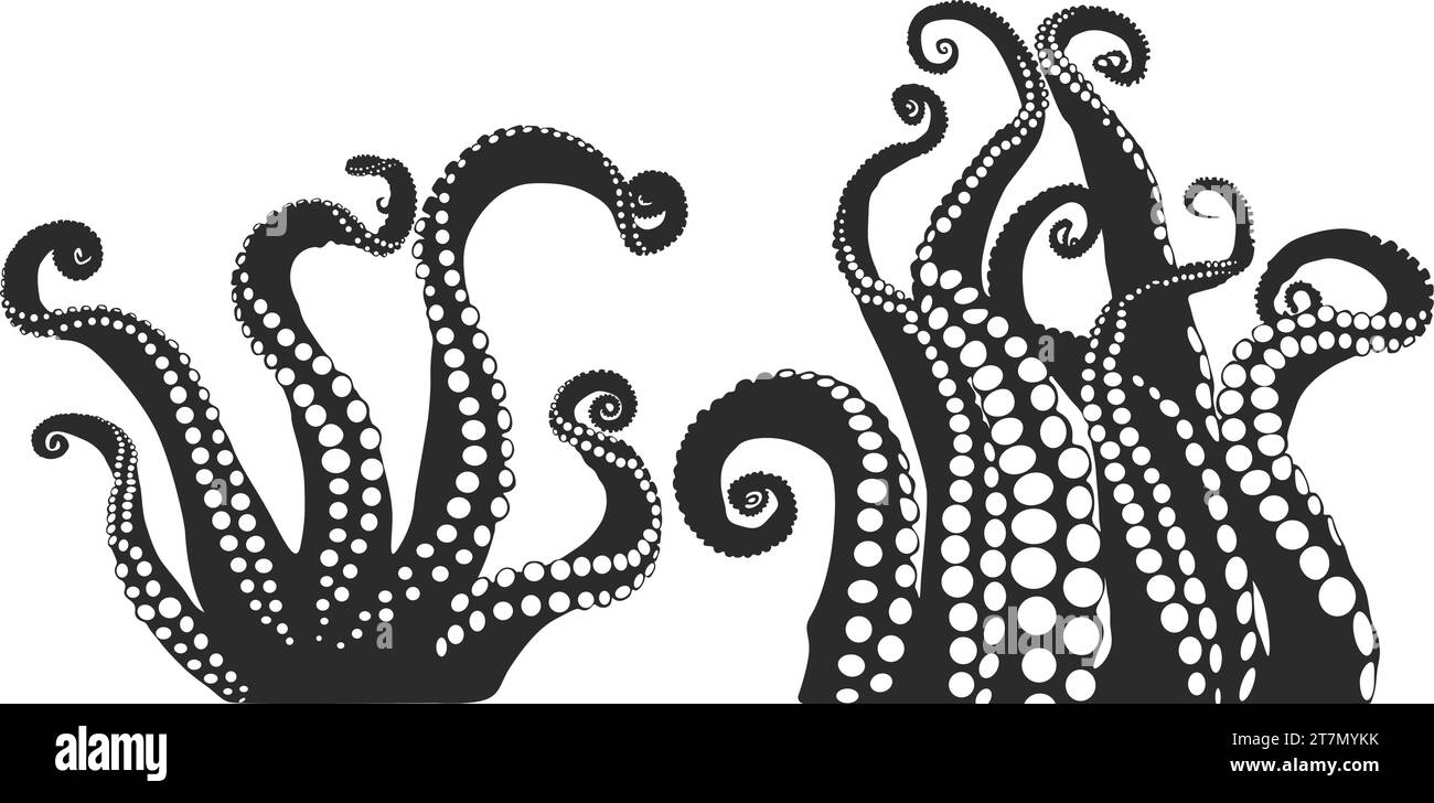 Octopus Tentakel Silhouette, Octopus Tentakel Silhouette, Tentakel Clipart, Tentakel Vektor, Meeresmonsterzeichnung. Stock Vektor