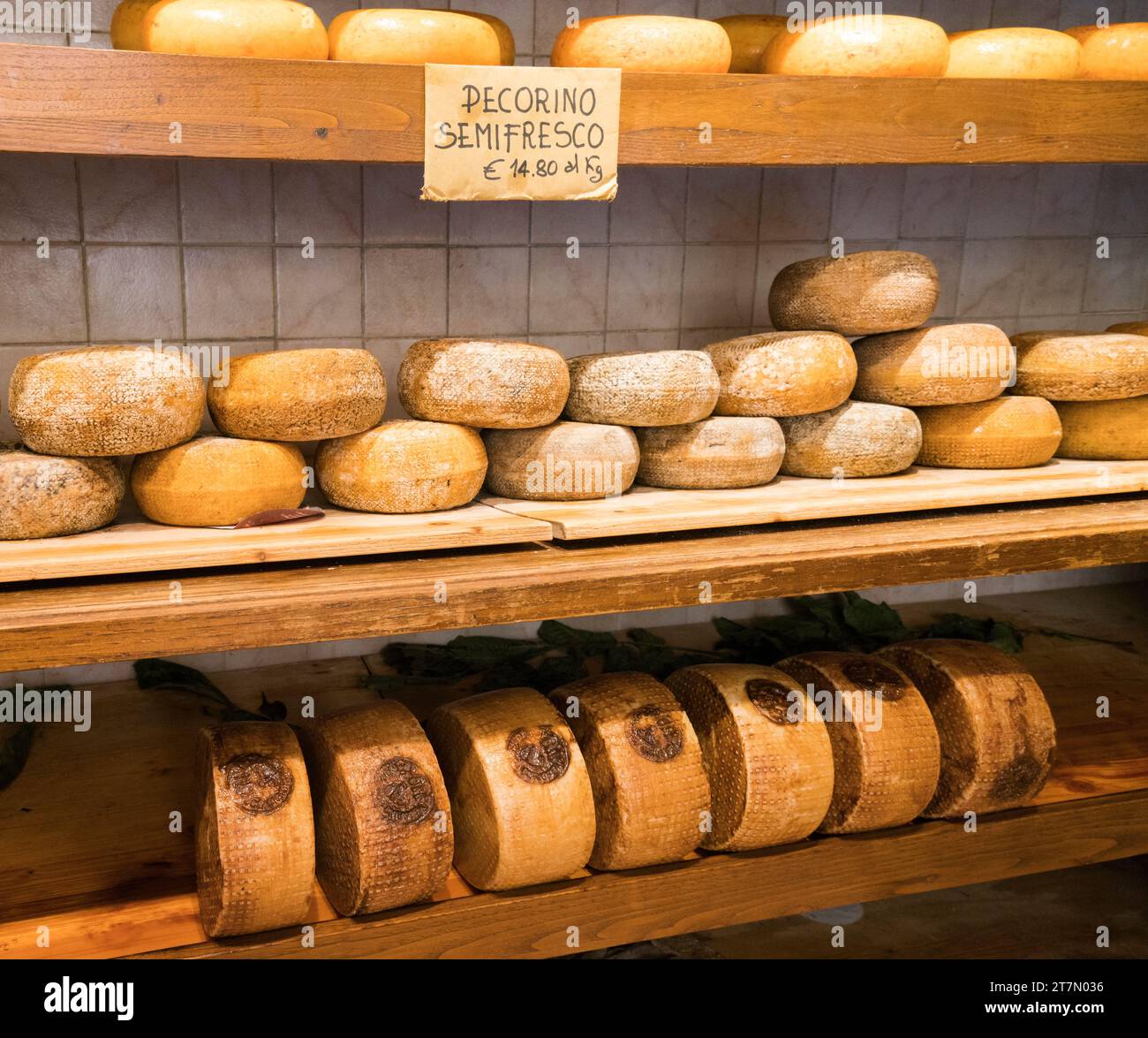 Pienza, Italien - 22. Juni 2017: Pecorino Schafskäse im Alter von 10-20 Tagen zum Verkauf in einem Geschäft in der mittelalterlichen Vlilage von Pienza, Toskana Stockfoto