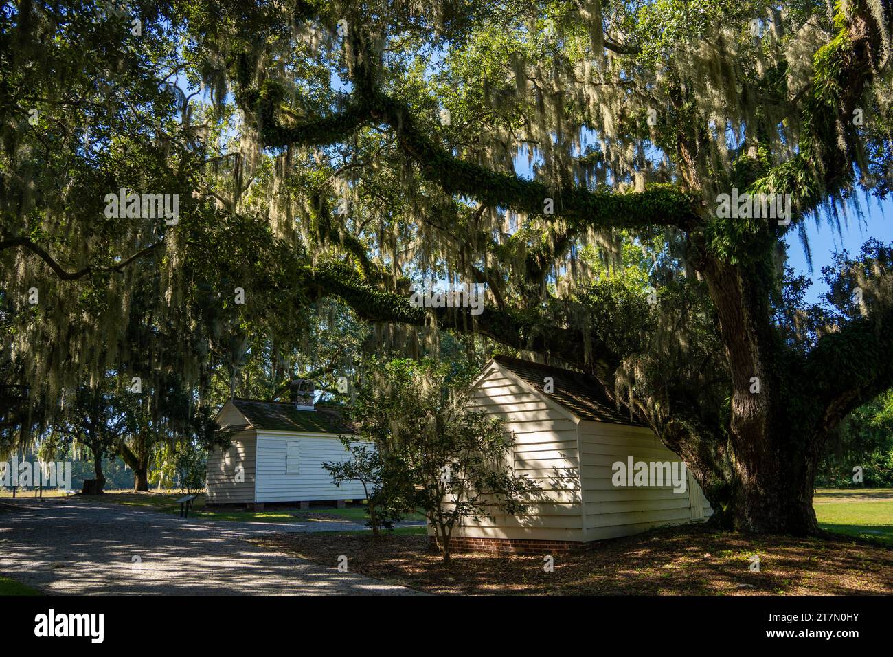 McLeod Plantation Historic Site in Charleston South Carolina Stockfoto