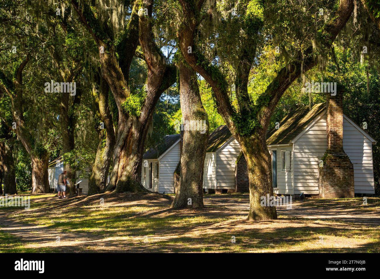 McLeod Plantation Historic Site in Charleston South Carolina Stockfoto