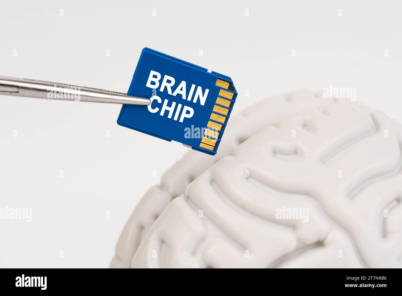 Ein Mann steckt eine Speicherkarte in sein Gehirn mit der Inschrift "Hirnchip". Wissenschafts- und Technologiekonzept. Stockfoto