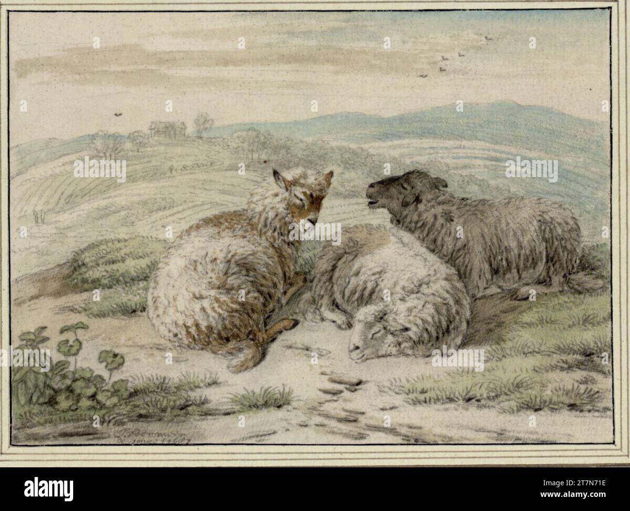 Jan van der Meer d.Ä. Drei Schafe vor hügeliger Landschaft. Schwarze Kreide, Aquarell, auf Pergament. 1687 , 1687 Stockfoto