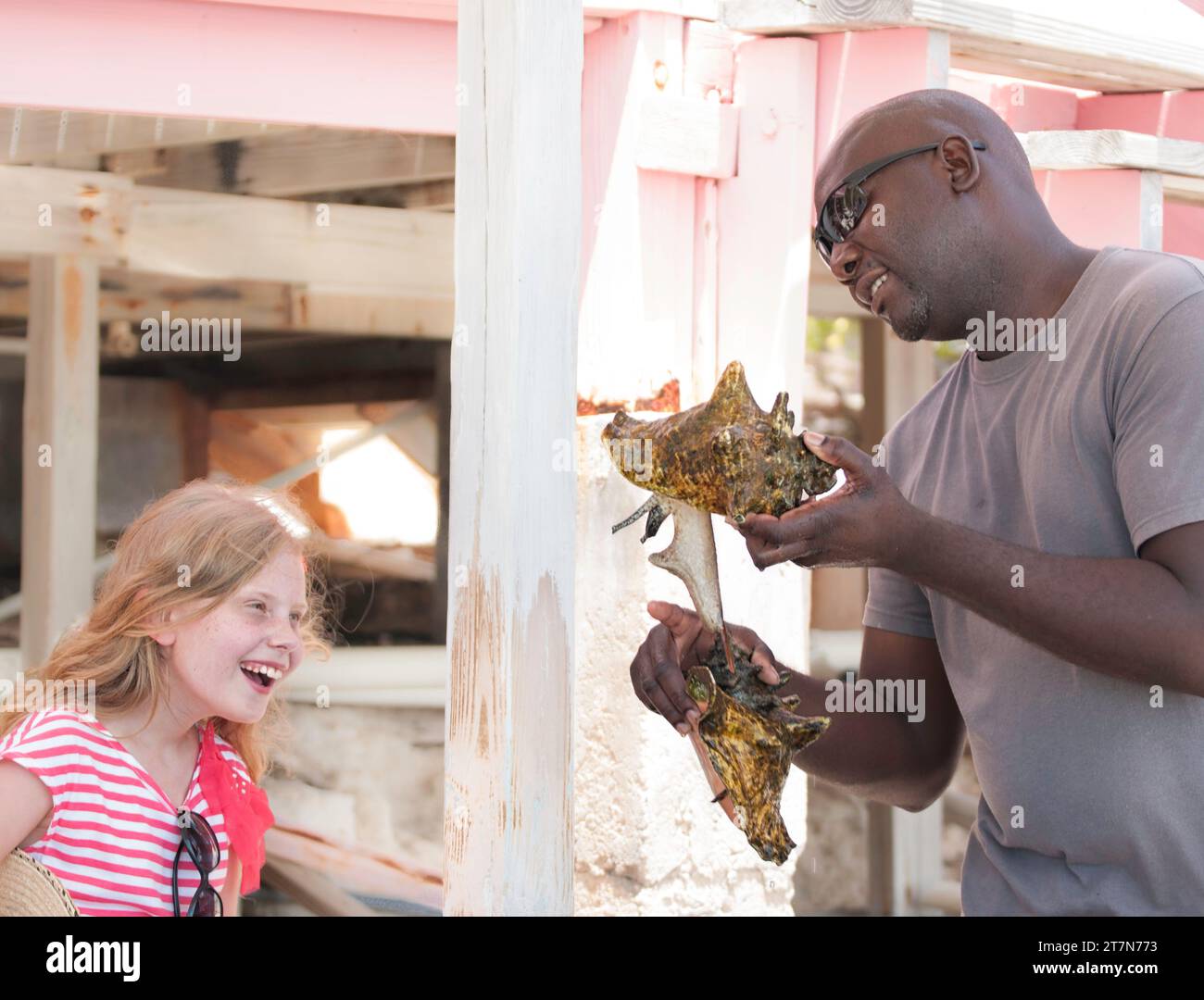 Reiseleiter zeigt Weichtiere, die aus Muscheln auf der Conch Farm, Providenciales, Caicos, Turks & Caicos Inseln hervorgehen Stockfoto