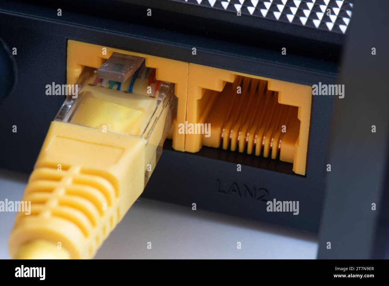 Netzwerkkabel mit dem Home Router verbunden. Buchse für Internetverbindung Stockfoto