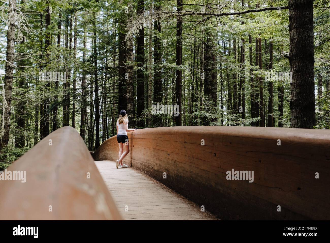 Eine junge Frau steht auf der Lady Bird Johnson Grove Trail Bridge im California Redwood National Park, Horizontal Landscape Orienta Stockfoto