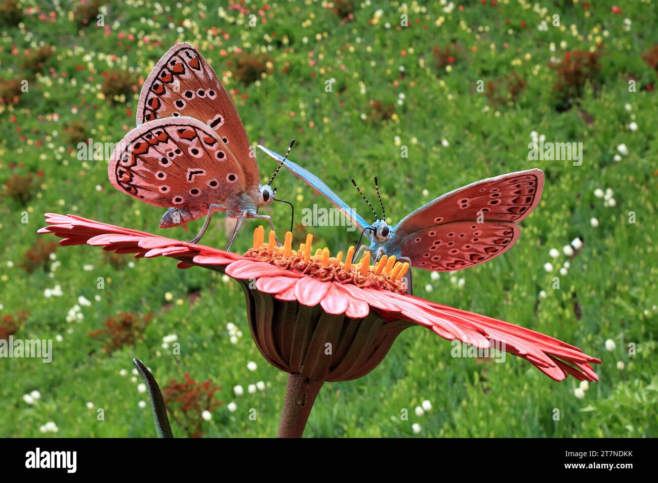 Schmetterlingsskulptur im Schlosspark Trauttmansdorff - botanischer Garten in Meran, Südtirol (Südtirol), Italien Stockfoto
