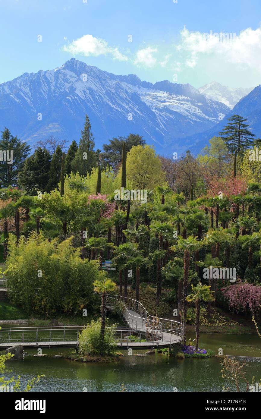 Schloss Trauttmansdorff - botanischer Garten in Meran, Südtirol (Südtirol), Italien Stockfoto