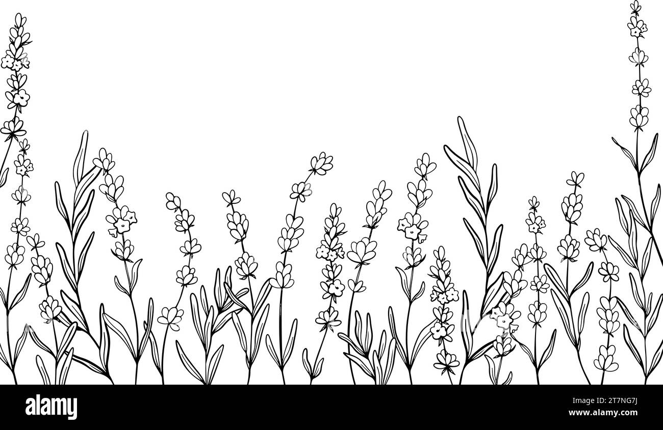 Grenze der Lavendelblume Zeichnung. Handgezeichnete schwarze Skizze. Design-Rahmen für Hochzeitseinladungen, Logo, Karten, Verpackung und Etikettierung Stock Vektor