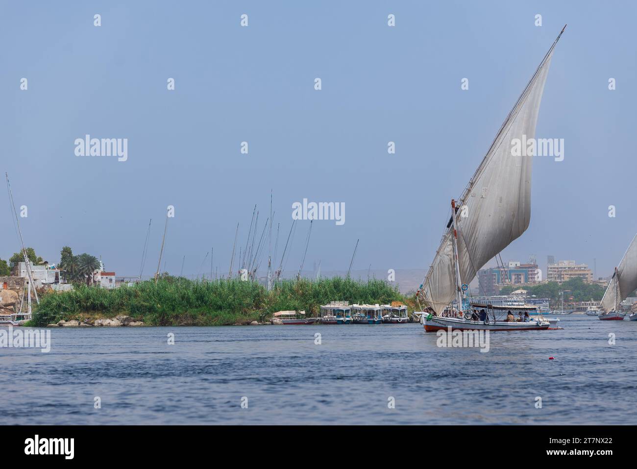 Eine Feluke, traditionelles offenes Deck Boot unter Segeln auf dem Nil, Assuan, Ägypten Stockfoto