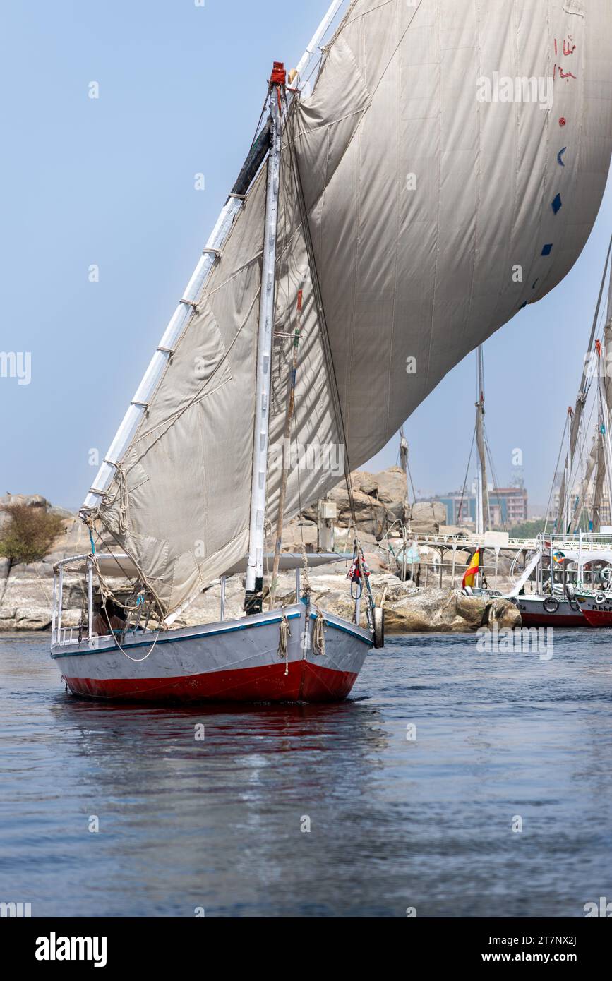 Eine Feluke, traditionelles offenes Deck Boot unter Segeln auf dem Nil, Assuan, Ägypten Stockfoto