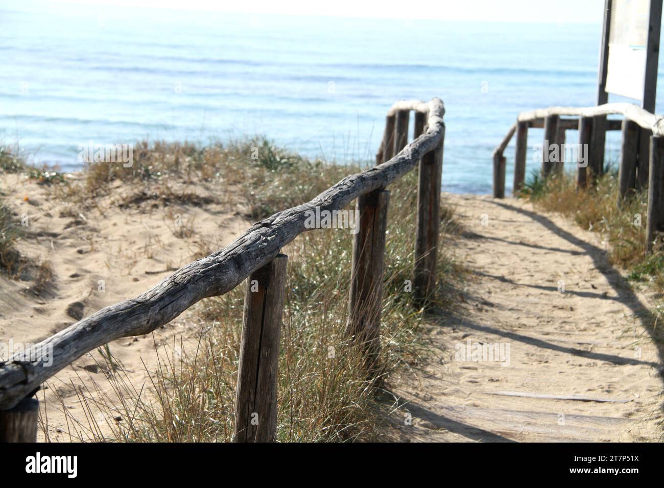 Punta Prosciutto, Apulien, Italien. Pfad, der zu einem öffentlichen Strand führt, Teil des geschützten Meeresgebiets Porto Cesareo. Stockfoto