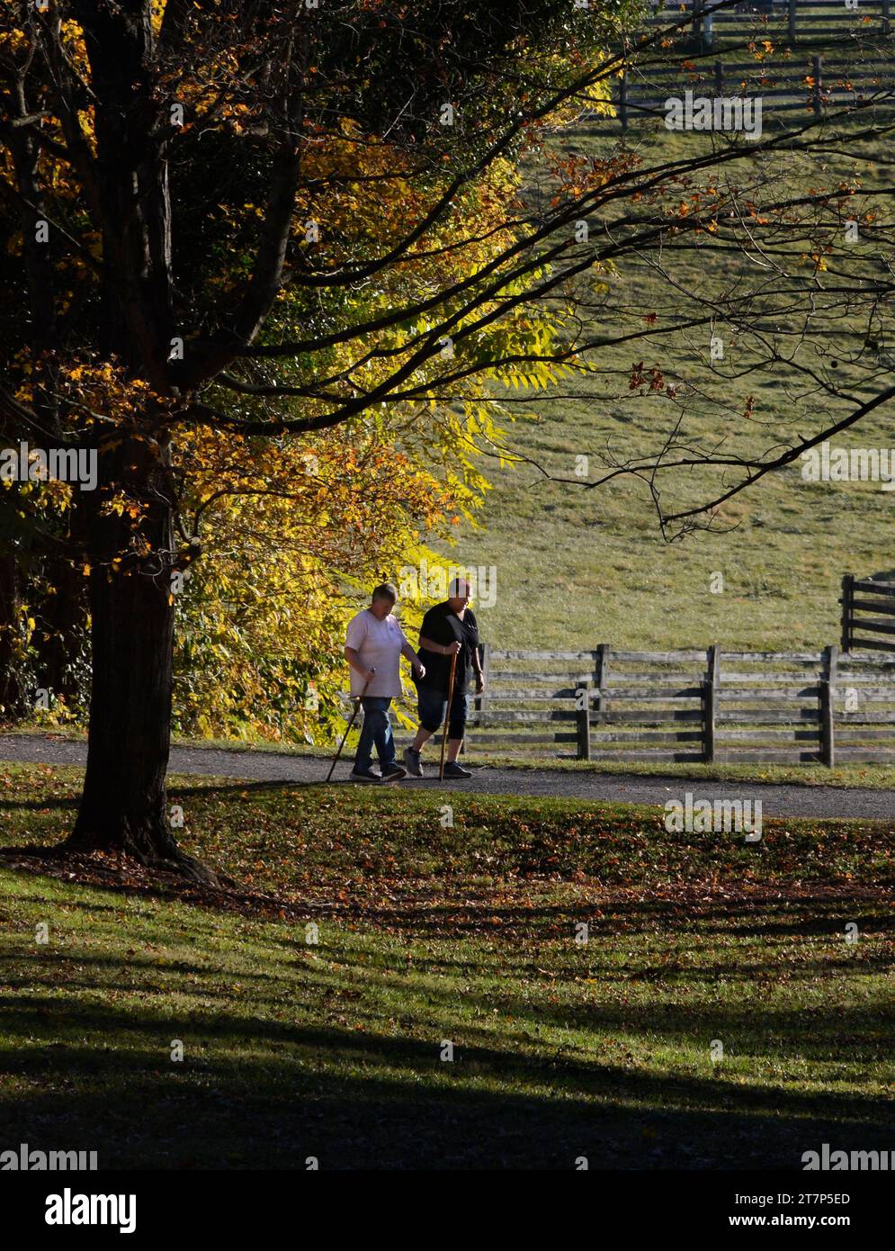 Zwei ältere Frauen machen einen Herbstspaziergang auf dem beliebten Naturpfad Virginia Creeper in Abingdon, Virginia. Stockfoto