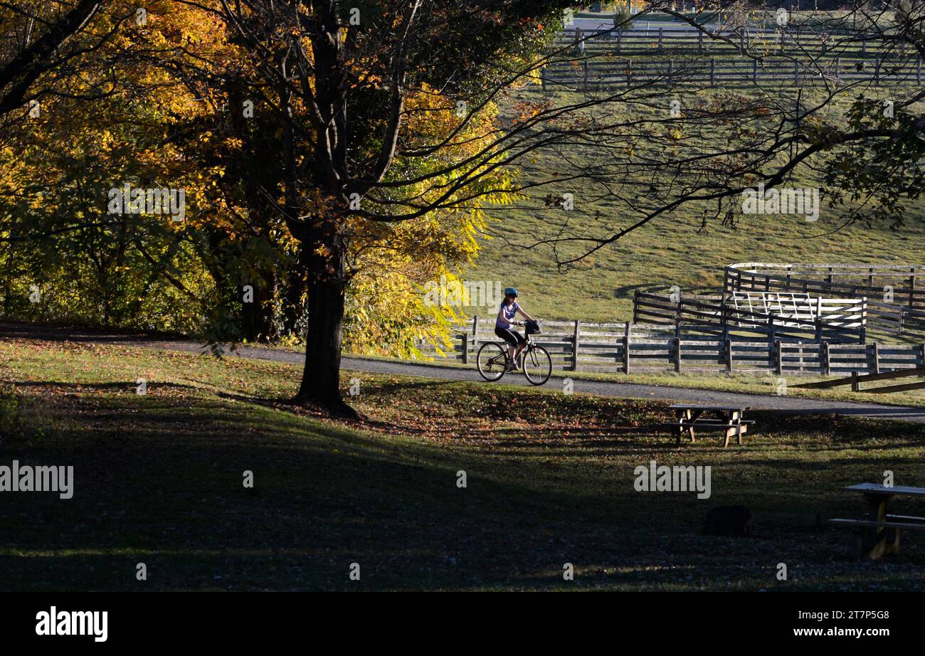 Radfahrer und Wanderer genießen einen warmen Herbsttag auf dem beliebten Virginia Creeper Trail in Abingdon, Virginia. Stockfoto