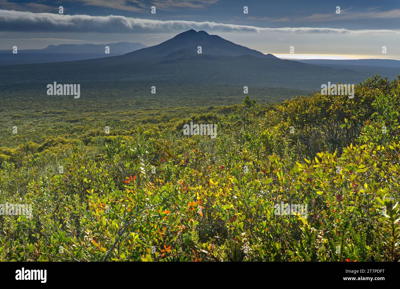 Blick auf die östlichen und mittleren Berge, unfruchtbar vom West Mount Barren, Fitzgerald River National Park, Western Australia, Australien Stockfoto