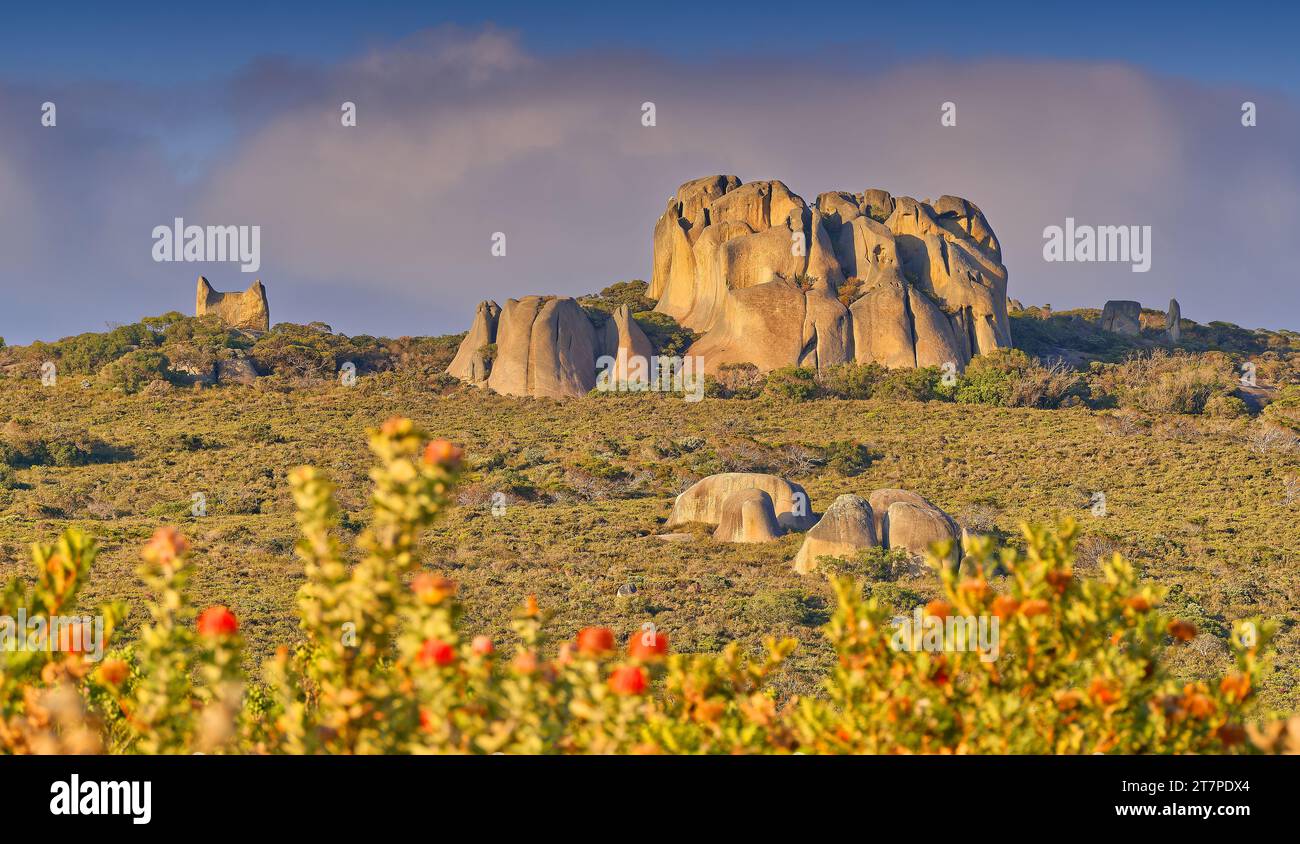 Landschaft aus Granitfelsen auf dem Bergrücken im frühen Morgenlicht im Waychinicup-Nationalpark, Western Australia, Australien Stockfoto