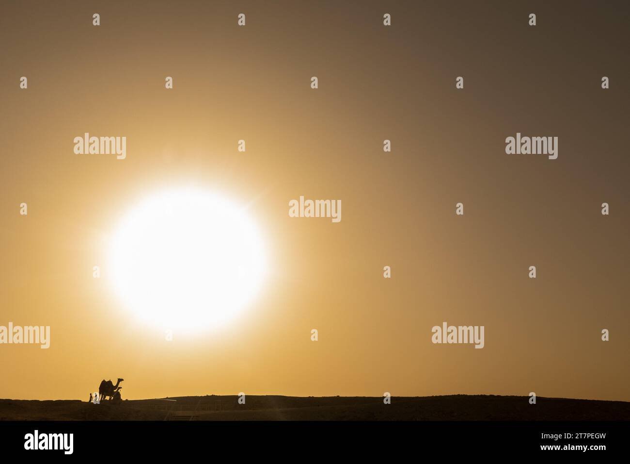 Die strahlende Wüstensonne hinterlässt beduinen und Kamele in einer Silhouette, die Wüstendünen durchquert Stockfoto