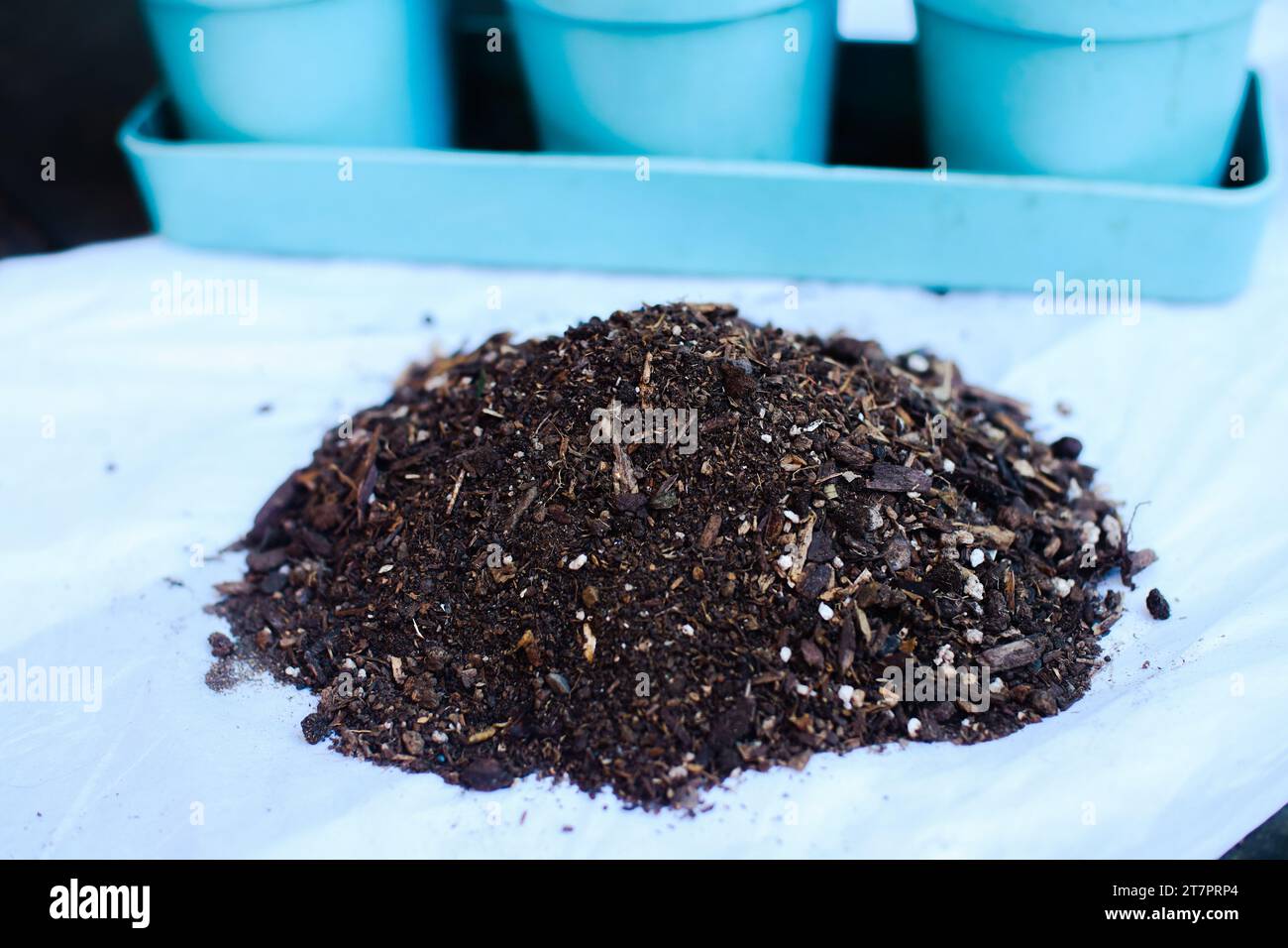 Kompostierde, organischer Dünger für den Gartenbau. Nahaufnahme. Selektiver Fokus. Stockfoto