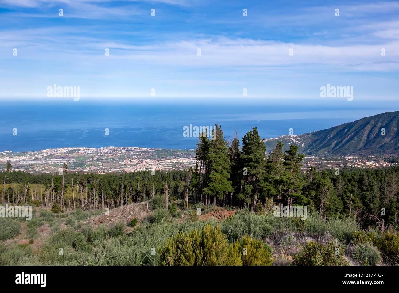 Blick auf die Küste vom Mirador de Mataznos, Parque Natural Corona Forestal, Teneriffa, Kanarische Insel, Spanien Stockfoto